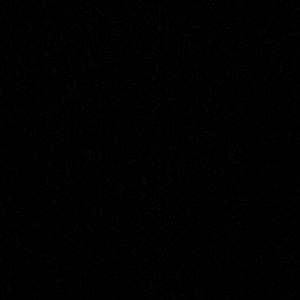 Meet your Posher, Terrell